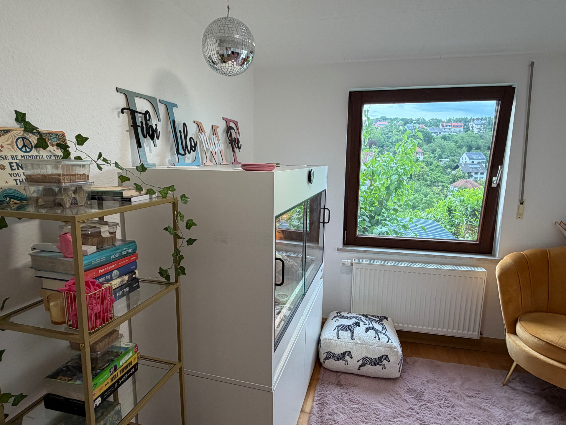 Blick ins Reptilienzimmer mit Fenster und Discokugel